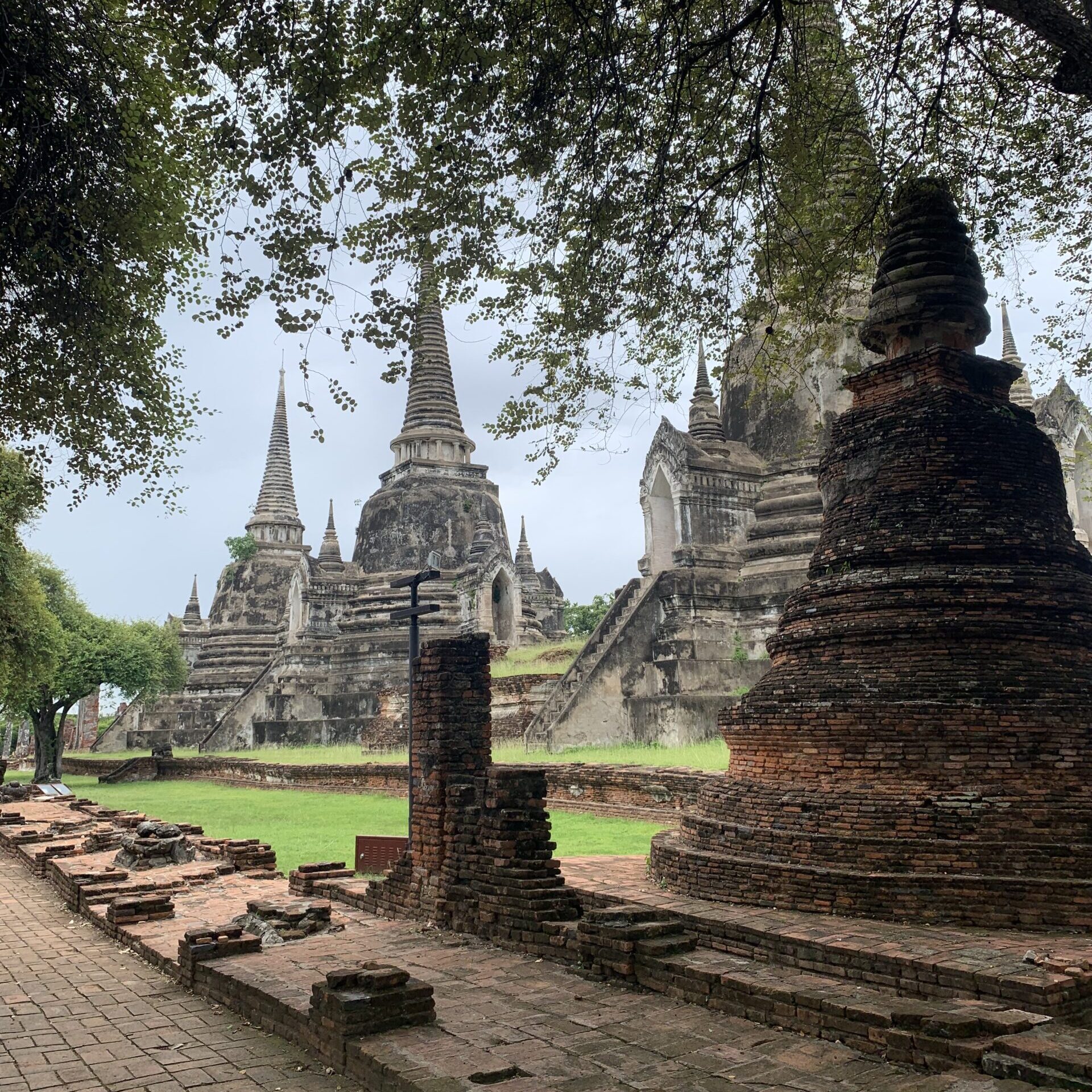 別所 久美子・友美子さんの趣味・特技の写真2